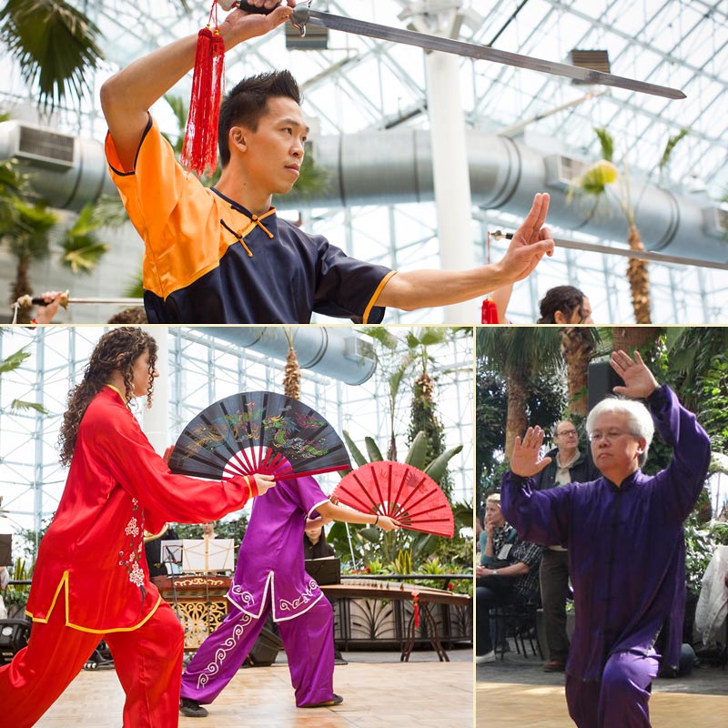 Collage of students practicing Tai Chi